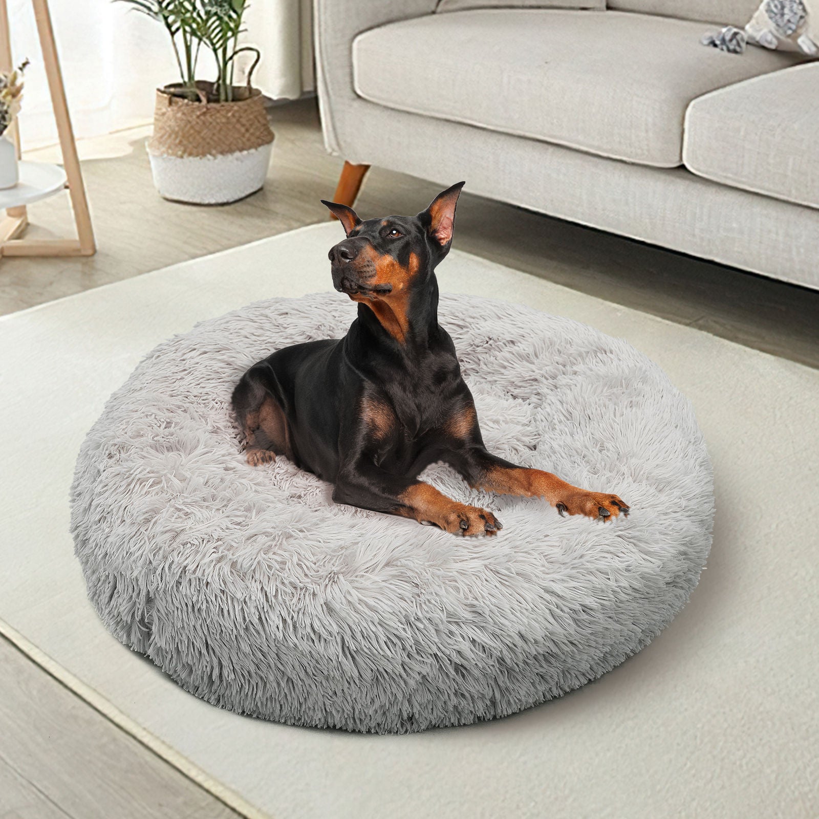 90cm sales dog bed