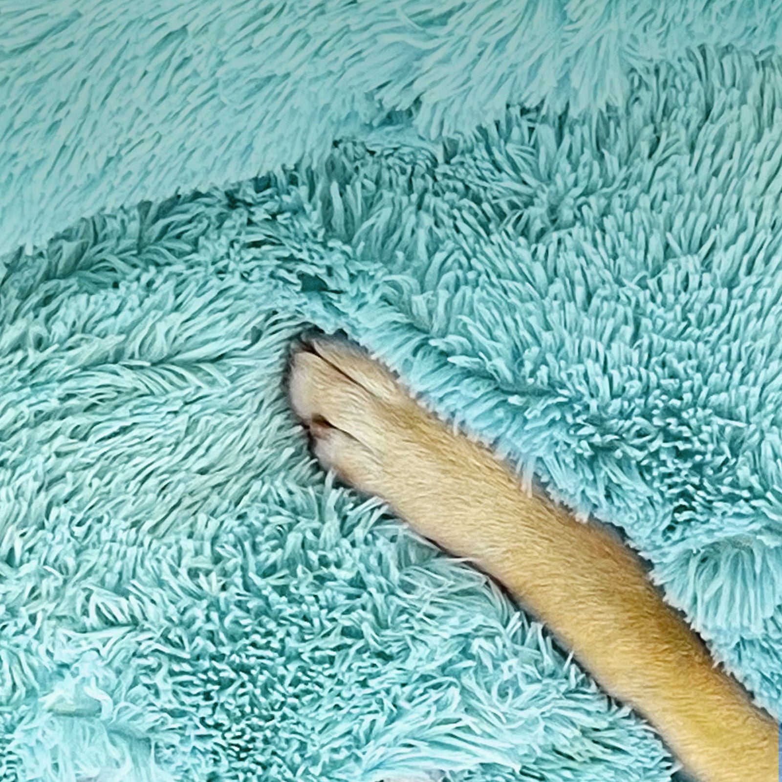 Pet Dog Bedding Warm Plush Round Comfortable Nest Comfy Sleep Kennel Green 100cm-Pet Beds-PEROZ Accessories
