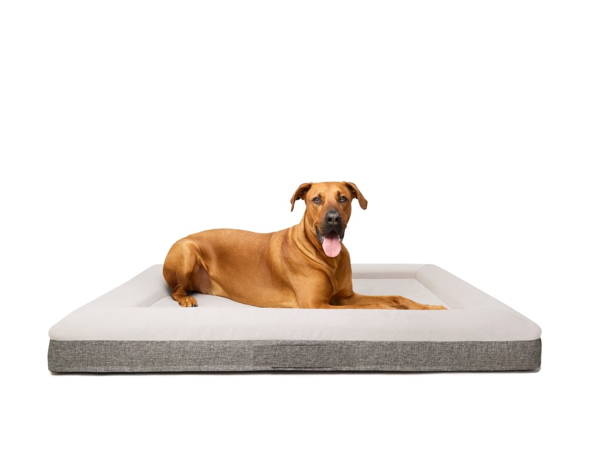 Fur King &quot;Ortho&quot; Orthopedic Dog Bed - XL-Pet Beds-PEROZ Accessories