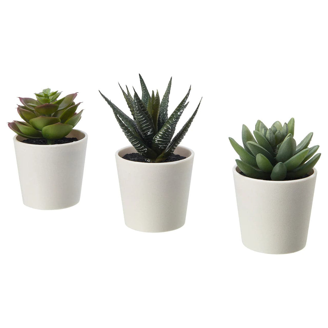 3 Pack of Artificial Succulent Potted Plants in White Plastic 6cm Pot Interior Decoration-Home &amp; Garden &gt; Artificial Plants-PEROZ Accessories