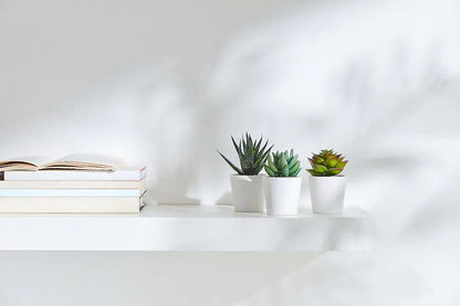 3 Pack of Artificial Succulent Potted Plants in White Plastic 6cm Pot Interior Decoration-Home &amp; Garden &gt; Artificial Plants-PEROZ Accessories