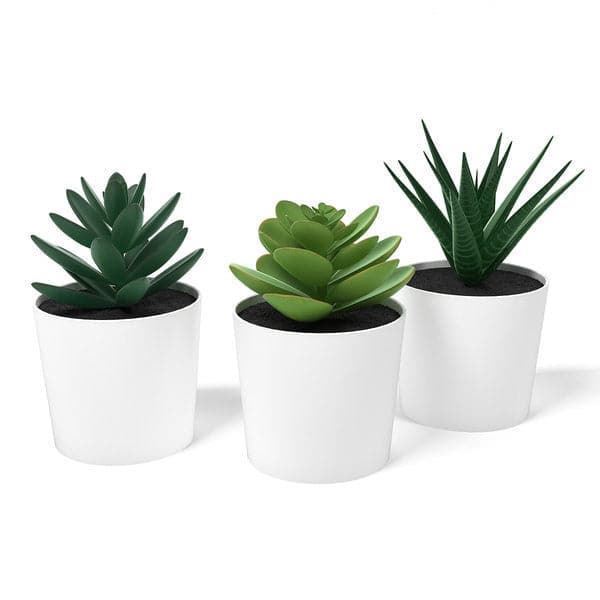 3 Pack of Artificial Succulent Potted Plants in White Plastic 6cm Pot Interior Decoration-Home &amp; Garden &gt; Artificial Plants-PEROZ Accessories