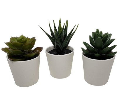 3 Pack of Artificial Succulent Potted Plants in White Plastic 6cm Pot Interior Decoration-Home &amp; Garden &gt; Artificial Plants-PEROZ Accessories