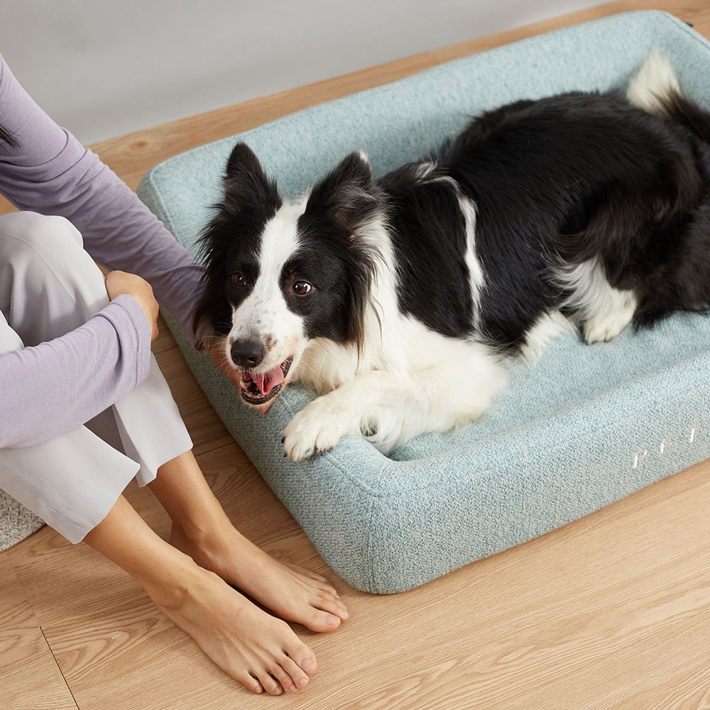 PETKIT Four Season Sleep Bed - L-Pet Beds-PEROZ Accessories