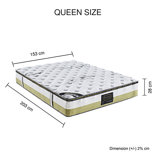 Queen Mattress Memory Pillow Top Pocket Spring Foam Medium Firm Bed-Furniture &gt; Mattresses-PEROZ Accessories