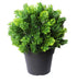 Small Potted Artificial Flowering Hop Plant UV Resistant 20cm-Home & Garden > Artificial Plants-PEROZ Accessories