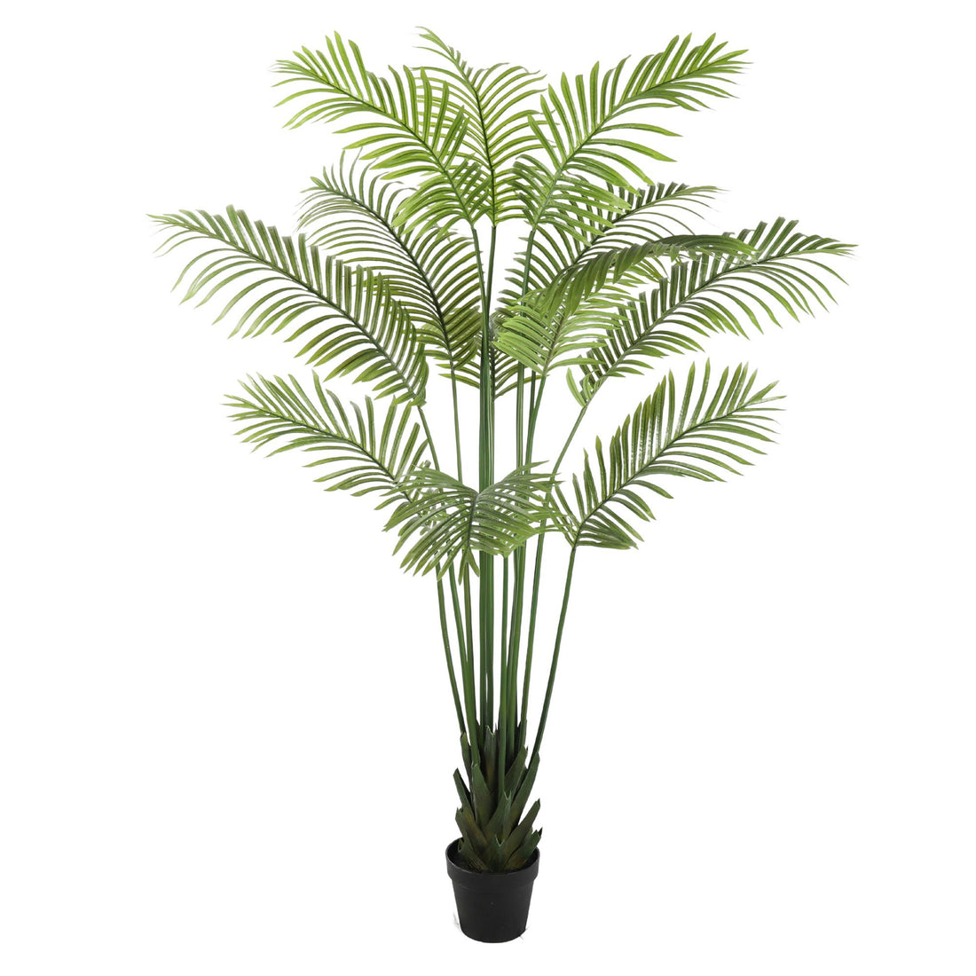 Artificial Multi Stem Hawaii Palm 190cm-Home &amp; Garden &gt; Artificial Plants-PEROZ Accessories