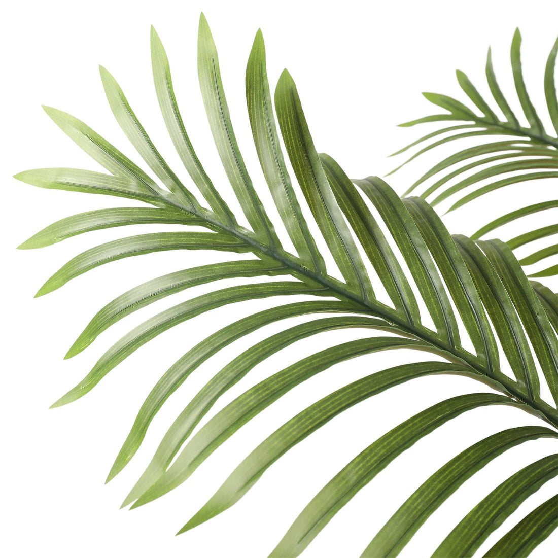 Artificial Multi Stem Hawaii Palm 190cm-Home &amp; Garden &gt; Artificial Plants-PEROZ Accessories
