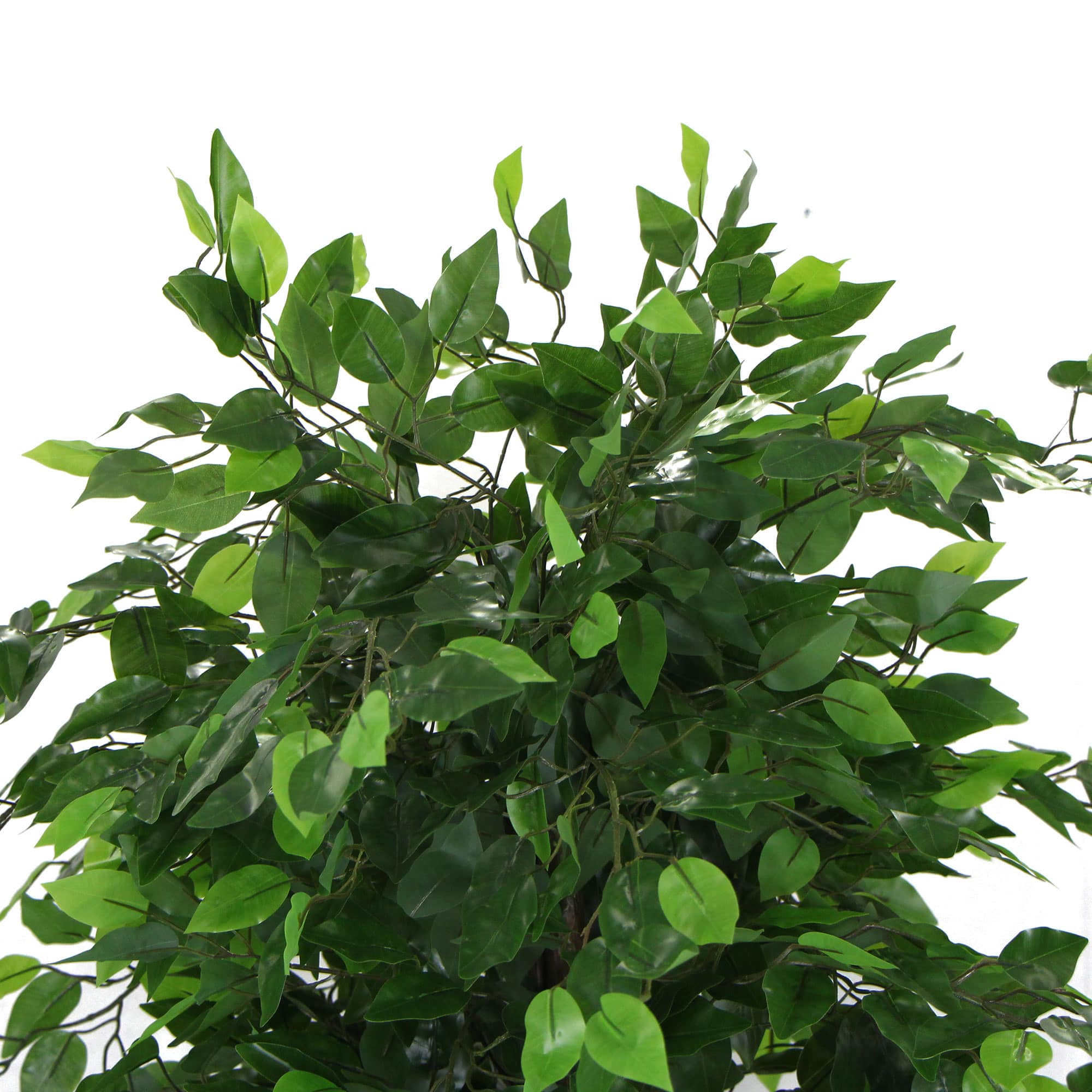 Artificial Ficus Tree 180cm Nearly Natural UV Resistant-Home &amp; Garden &gt; Artificial Plants-PEROZ Accessories