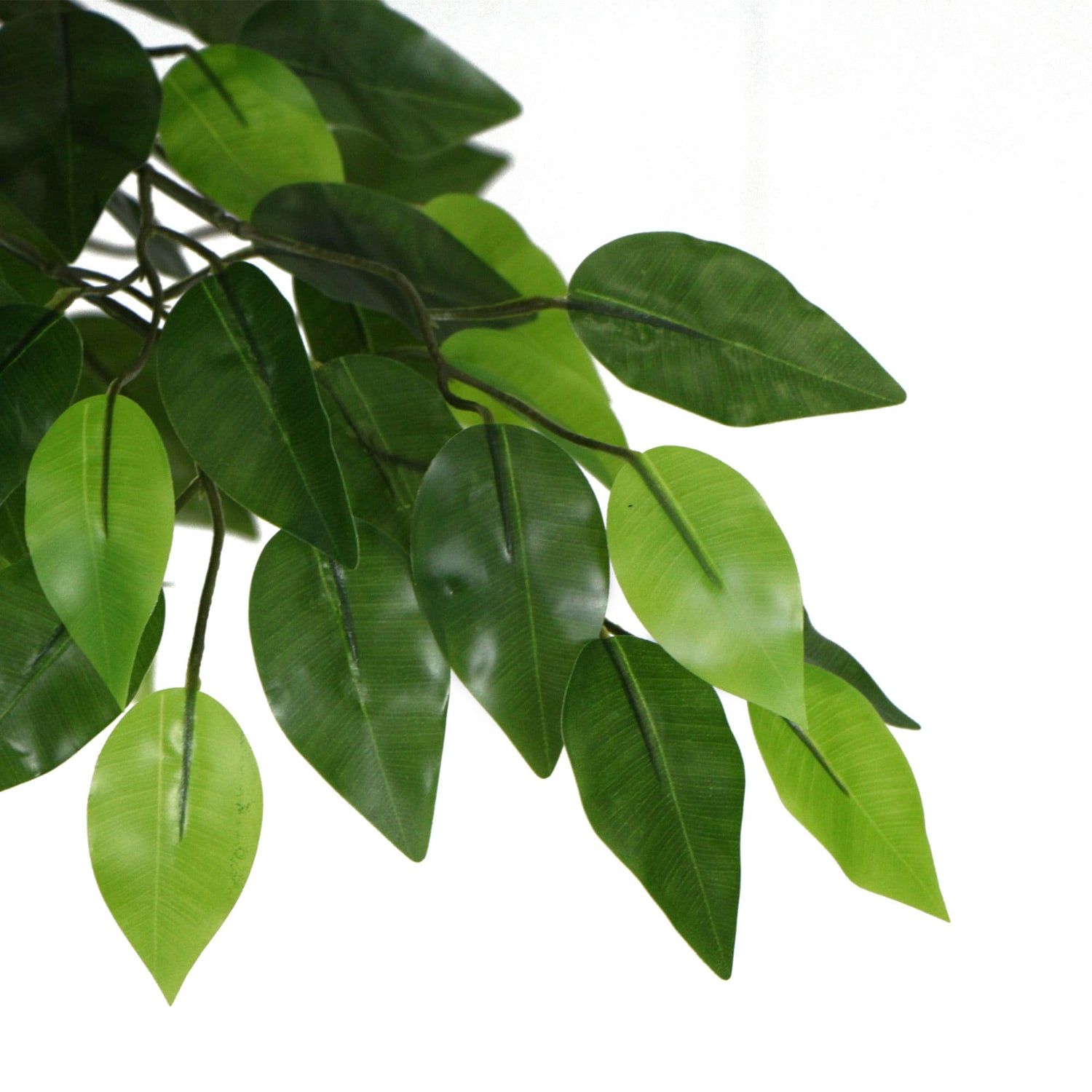 Artificial Ficus Tree 180cm Nearly Natural UV Resistant-Home &amp; Garden &gt; Artificial Plants-PEROZ Accessories