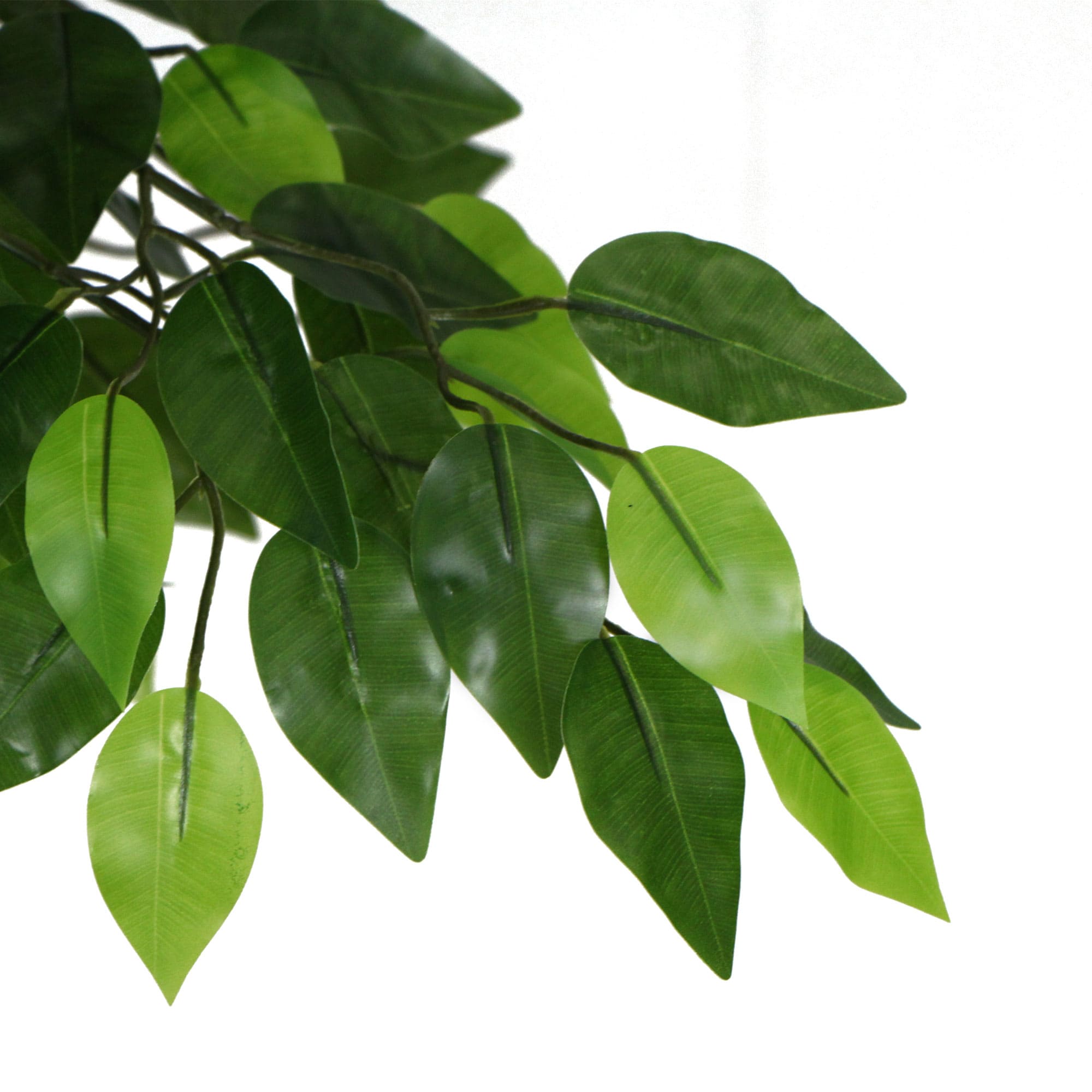 Artificial Ficus Tree 180cm Nearly Natural UV Resistant-Home &amp; Garden &gt; Artificial Plants-PEROZ Accessories
