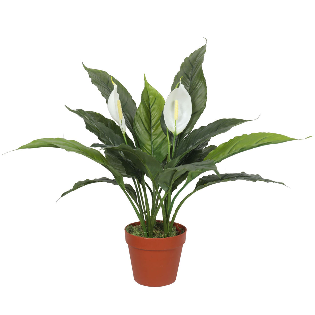 Artificial Spathiphyllum Peace Lily Plant with White Flowers 60cm-Home &amp; Garden &gt; Artificial Plants-PEROZ Accessories