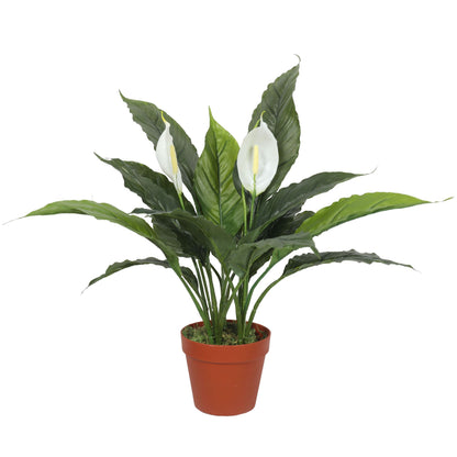 Artificial Spathiphyllum Peace Lily Plant with White Flowers 60cm-Home &amp; Garden &gt; Artificial Plants-PEROZ Accessories