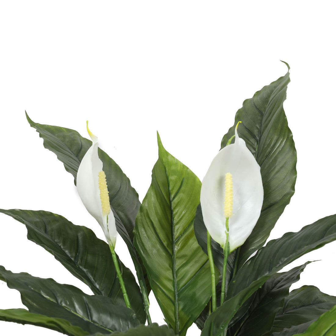 Artificial Spathiphyllum Peace Lily Plant with White Flowers 60cm-Home &amp; Garden &gt; Artificial Plants-PEROZ Accessories