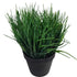 Artificial Ornamental Potted Dense Green Grass UV Resistant 30cm (Overstock Clearance)-Home & Garden > Artificial Plants-PEROZ Accessories
