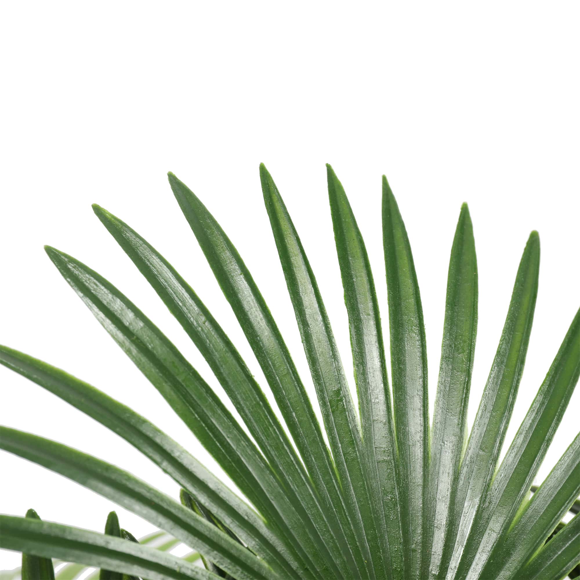 Artificial Wide Leaf Fan Palm Tree 90cm-Home &amp; Garden &gt; Artificial Plants-PEROZ Accessories