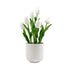 Flowering White Artificial Tulip Plant Arrangement With Ceramic Bowl 35cm-Home & Garden > Artificial Plants-PEROZ Accessories