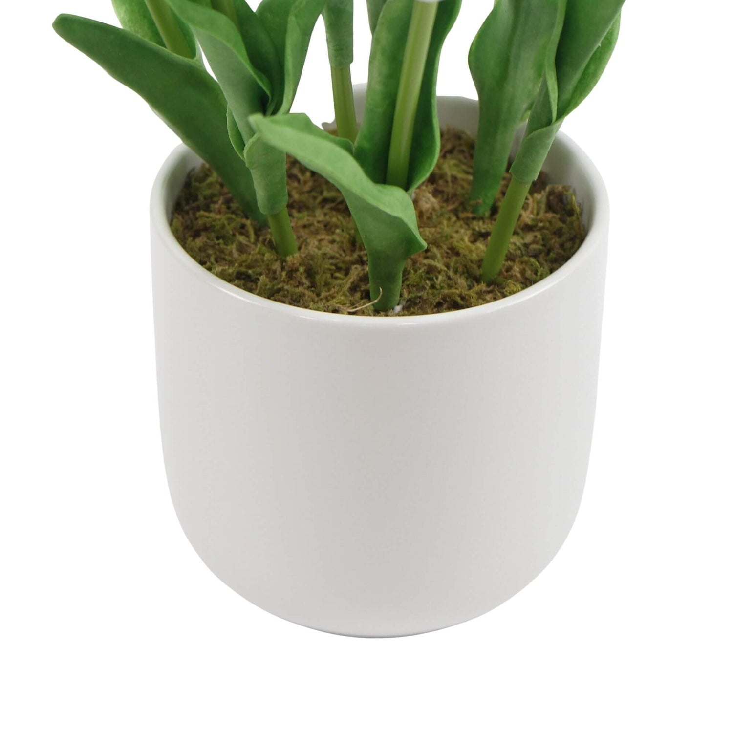 Flowering White Artificial Tulip Plant Arrangement With Ceramic Bowl 35cm-Home &amp; Garden &gt; Artificial Plants-PEROZ Accessories