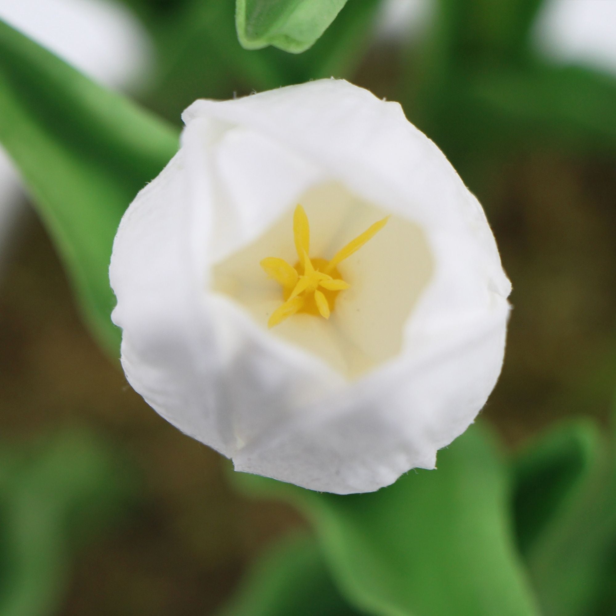 Flowering White Artificial Tulip Plant Arrangement With Ceramic Bowl 35cm-Home &amp; Garden &gt; Artificial Plants-PEROZ Accessories