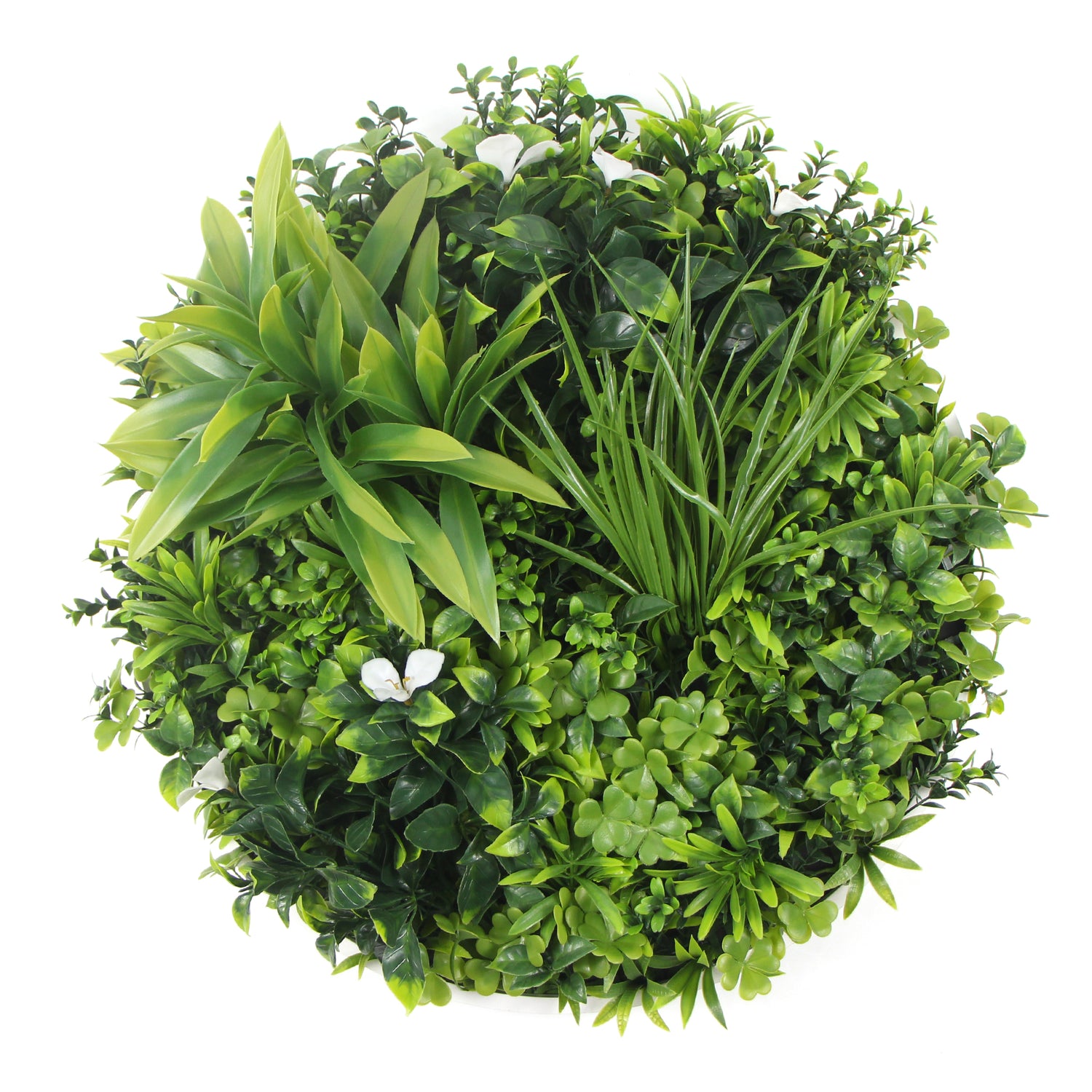 Flowering White Artificial Green Wall Disc UV Resistant 75cm (White Frame)-Home &amp; Garden &gt; Artificial Plants-PEROZ Accessories