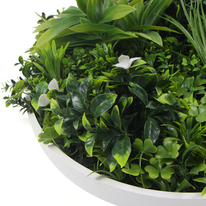 Flowering White Artificial Green Wall Disc UV Resistant 75cm (White Frame)-Home &amp; Garden &gt; Artificial Plants-PEROZ Accessories