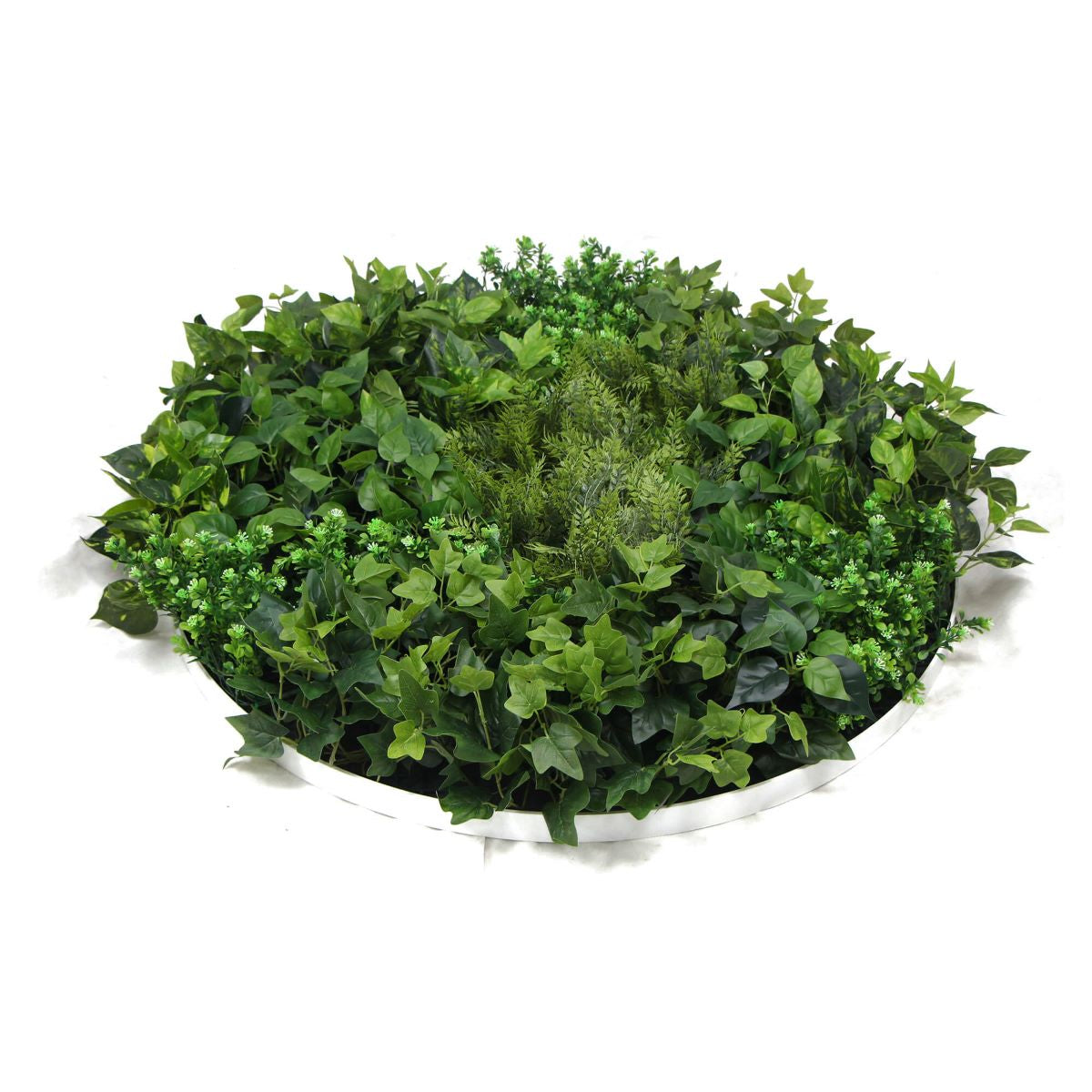 Slimline Artificial Green Wall Disc Art 80cm Mixed Green Fern &amp; Ivy (White)-Home &amp; Garden &gt; Artificial Plants-PEROZ Accessories