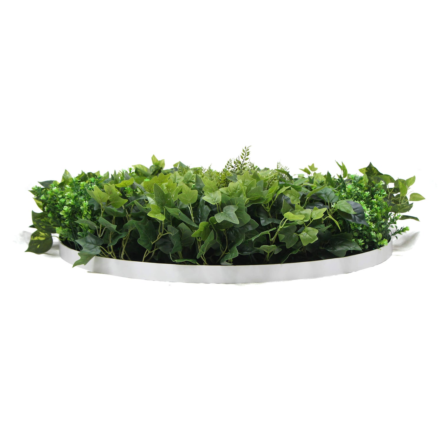 Slimline Artificial Green Wall Disc Art 80cm Mixed Green Fern &amp; Ivy (White)-Home &amp; Garden &gt; Artificial Plants-PEROZ Accessories