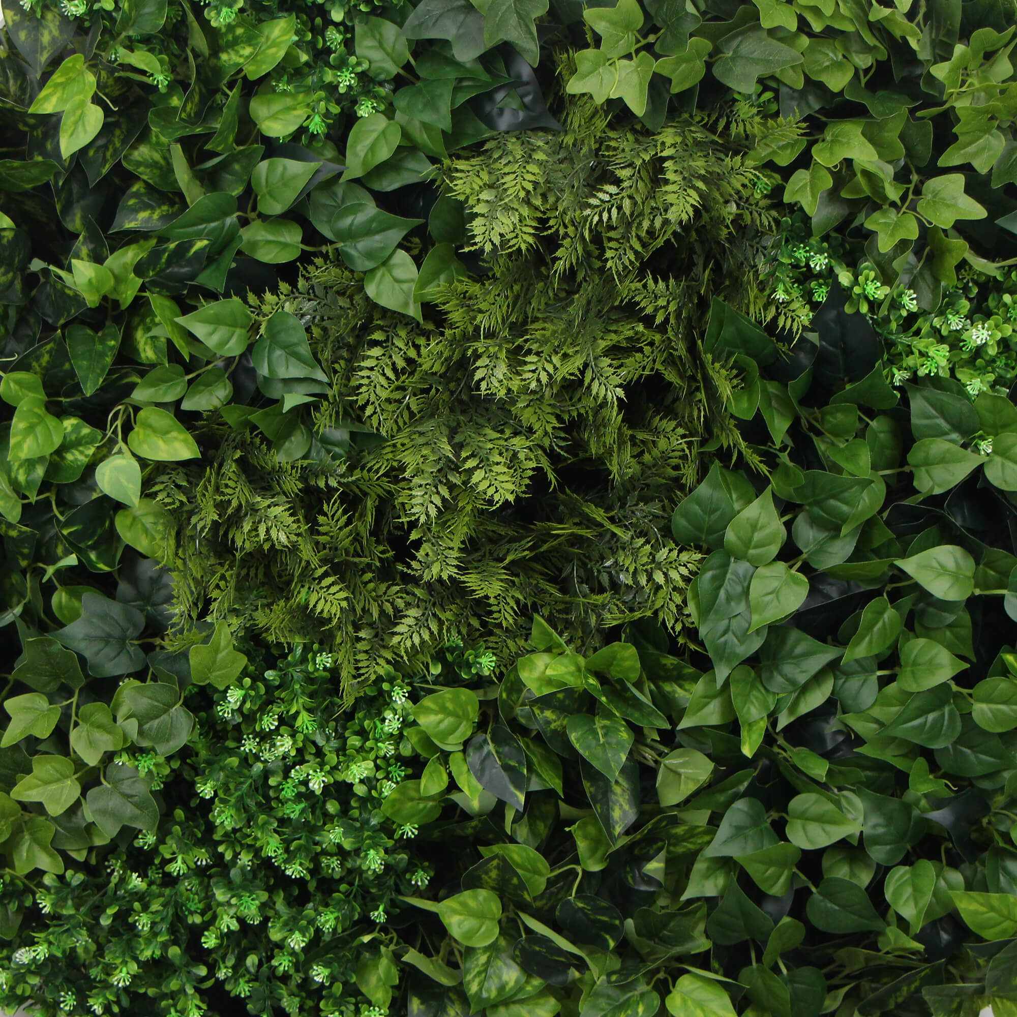 Slimline Artificial Green Wall Disc Art 80cm Mixed Green Fern &amp; Ivy (White)-Home &amp; Garden &gt; Artificial Plants-PEROZ Accessories