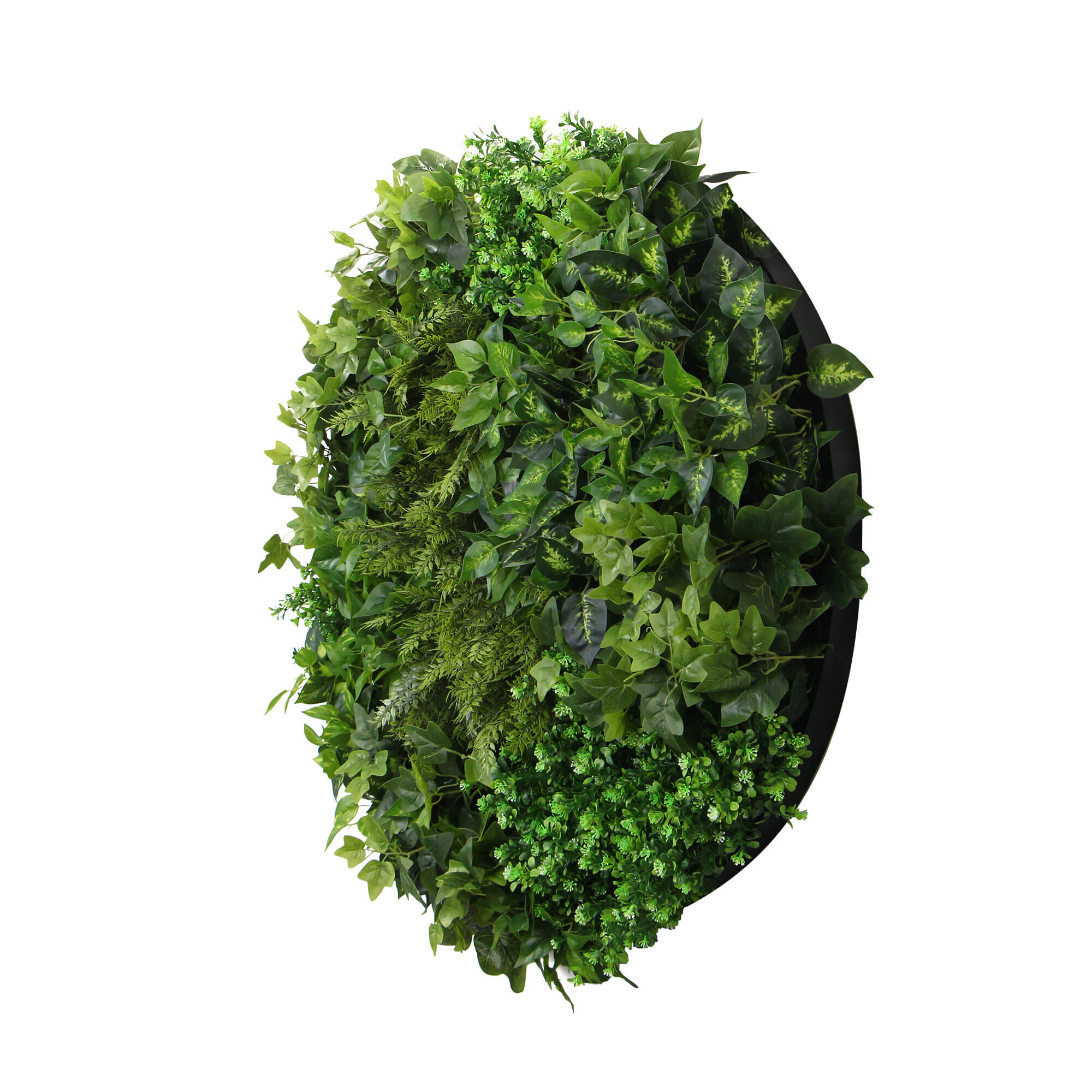Slimline Artificial Green Wall Disc Art 90cm Mixed Green Fern (Black)-Home &amp; Garden &gt; Artificial Plants-PEROZ Accessories