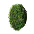 Slimline Artificial Green Wall Disc Art 90cm Mixed Green Fern (Black)-Home & Garden > Artificial Plants-PEROZ Accessories