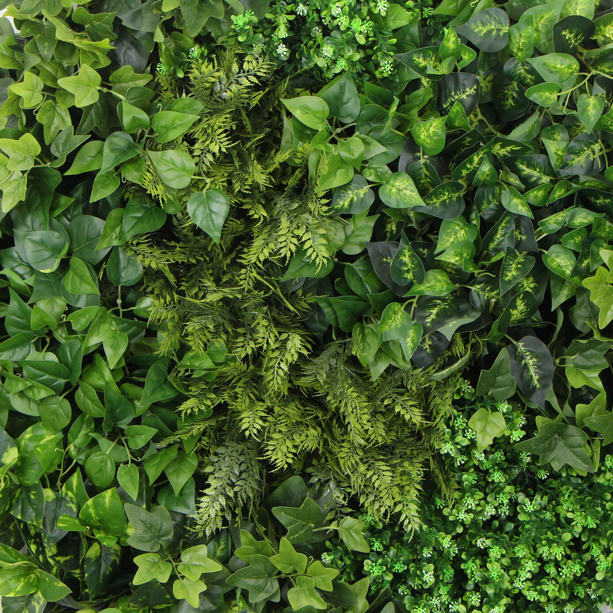 Slimline Artificial Green Wall Disc Art 90cm Mixed Green Fern (Black)-Home &amp; Garden &gt; Artificial Plants-PEROZ Accessories