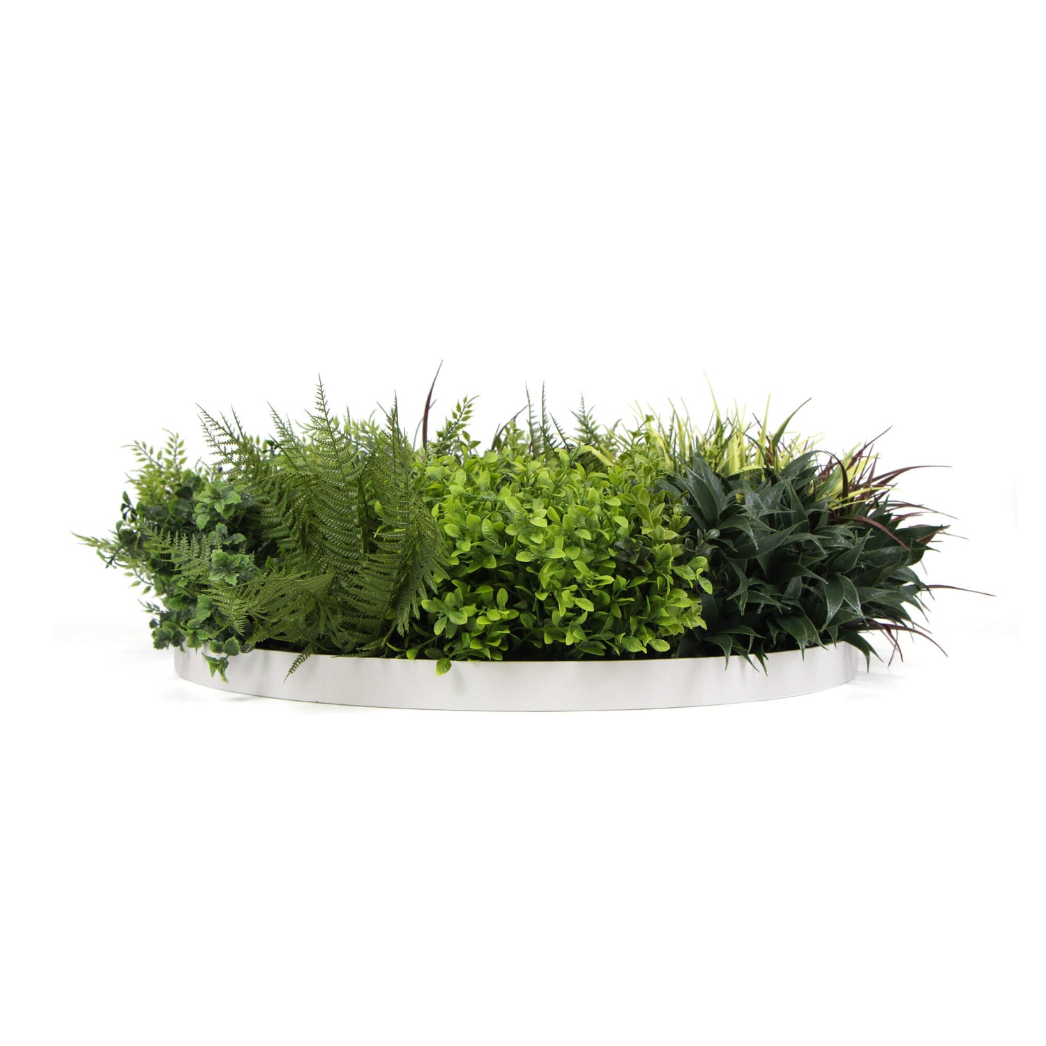 Slimline Artificial Green Wall Disc Art 80cm Green Field UV Resistant (White)-Home &amp; Garden &gt; Artificial Plants-PEROZ Accessories