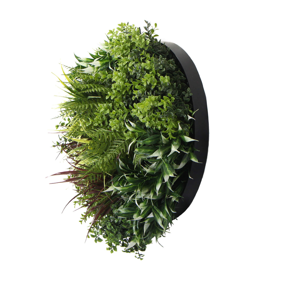 Slimline Artificial Green Wall Disc Art 50cm Green Field UV Resistant (Black)-Home &amp; Garden &gt; Artificial Plants-PEROZ Accessories