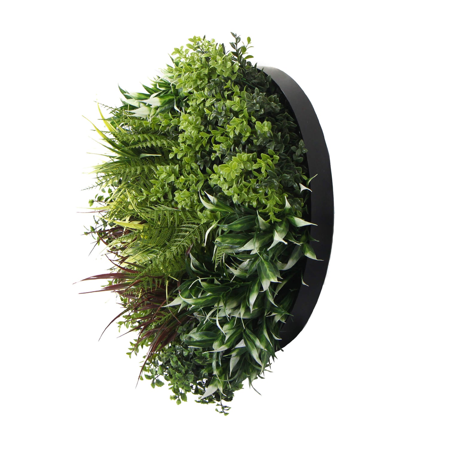 Slimline Artificial Green Wall Disc Art 50cm Green Field UV Resistant (Black)-Home &amp; Garden &gt; Artificial Plants-PEROZ Accessories