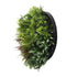 Slimline Artificial Green Wall Disc Art 50cm Green Field UV Resistant (Black)-Home & Garden > Artificial Plants-PEROZ Accessories