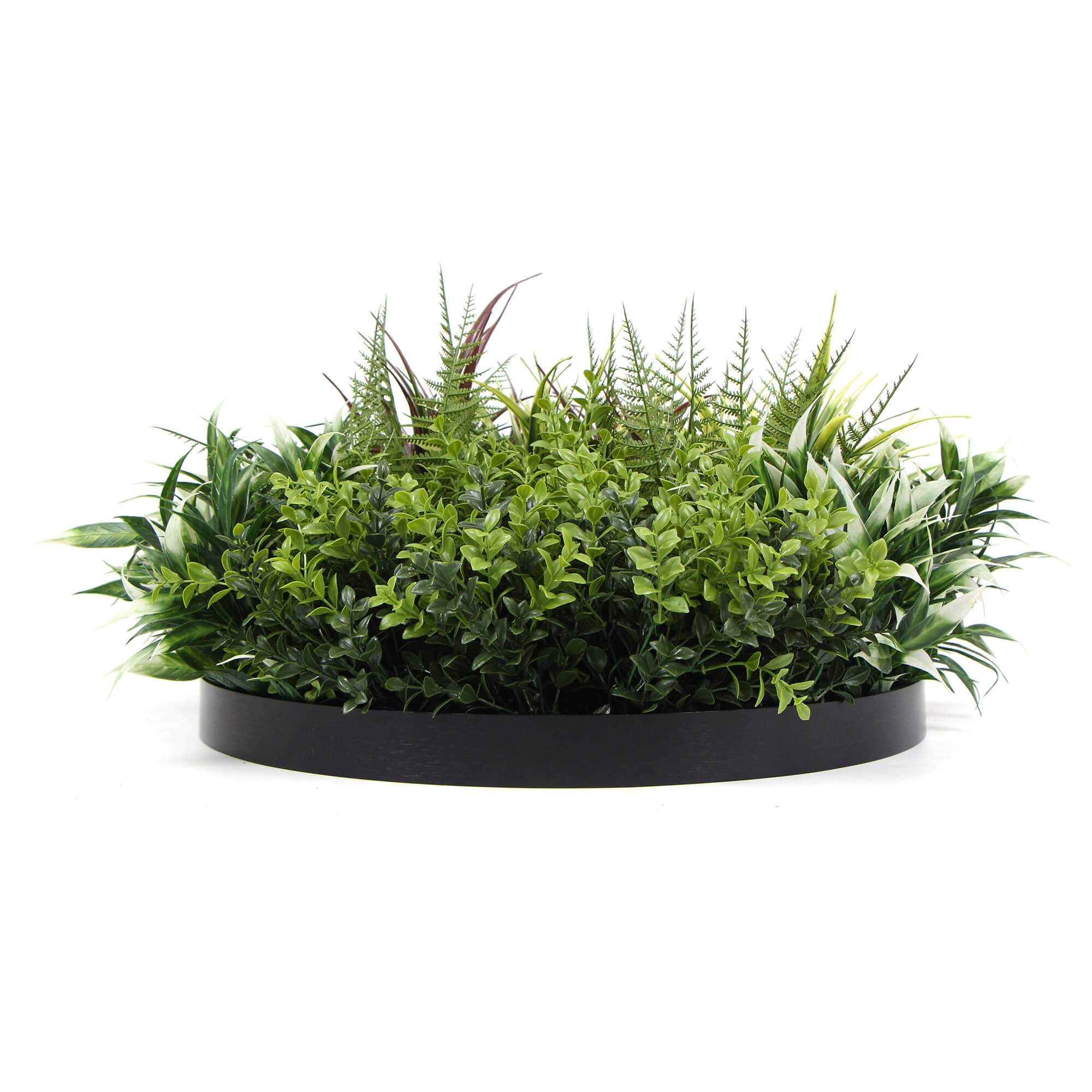 Slimline Artificial Green Wall Disc Art 50cm Green Field UV Resistant (Black)-Home &amp; Garden &gt; Artificial Plants-PEROZ Accessories