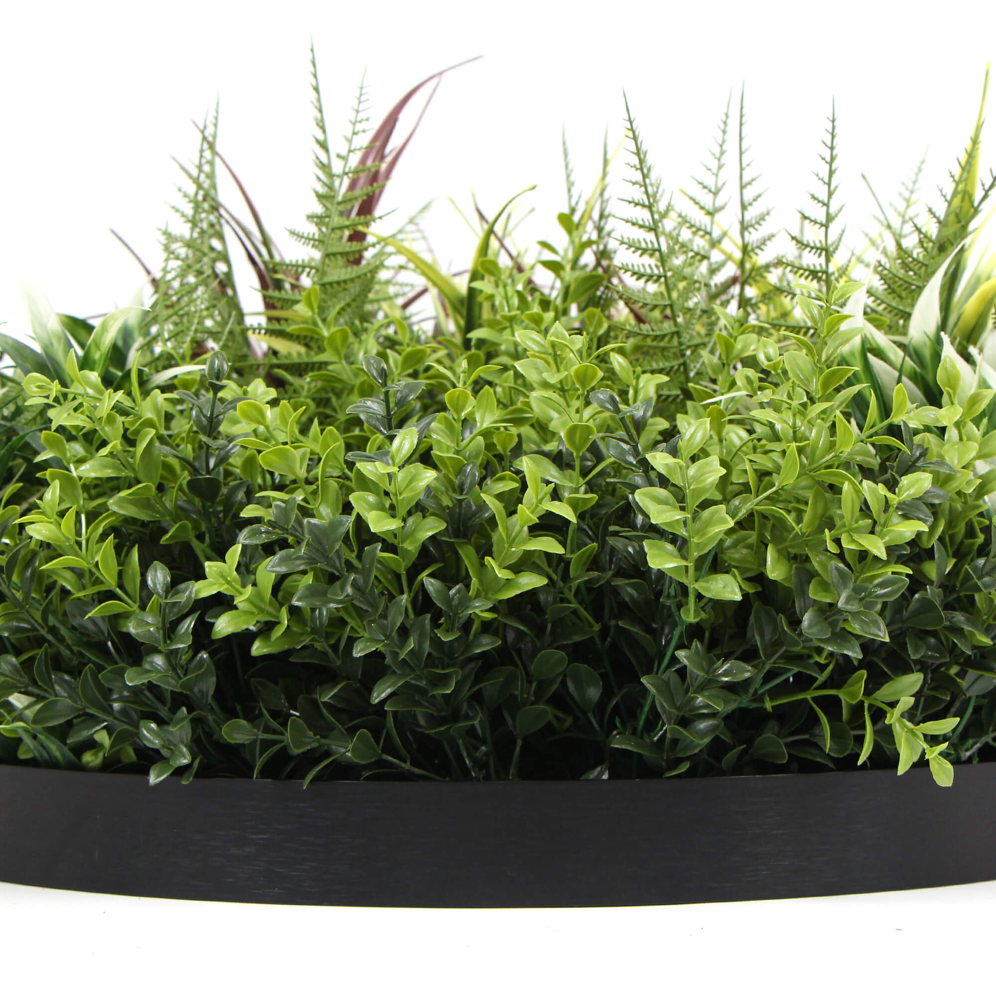 Slimline Artificial Green Wall Disc Art 50cm Green Field UV Resistant (Black)-Home &amp; Garden &gt; Artificial Plants-PEROZ Accessories