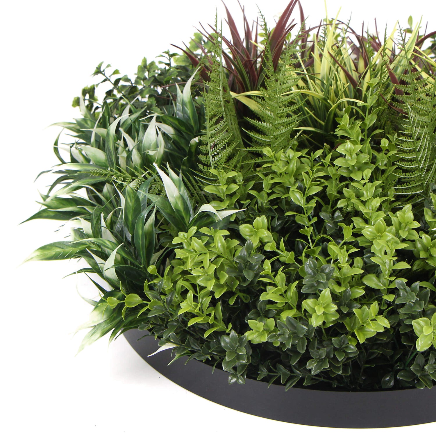 Slimline Artificial Green Wall Disc Art 50cm Green Field UV Resistant (Black)-Home &amp; Garden &gt; Artificial Plants-PEROZ Accessories