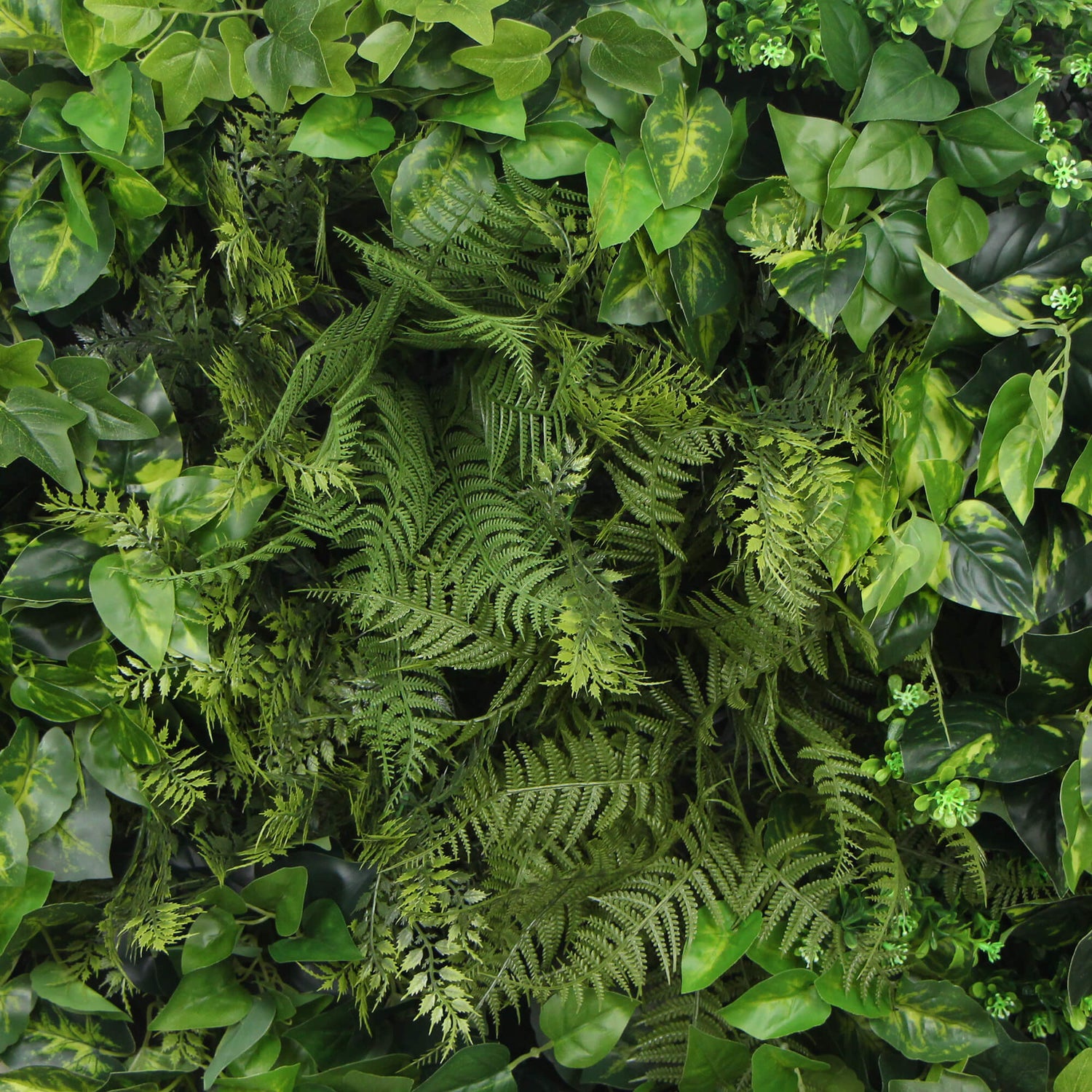 Slimline Artificial Green Wall Disc Art 80cm Mixed Green Fern &amp; Ivy (Modern Black)-Home &amp; Garden &gt; Artificial Plants-PEROZ Accessories