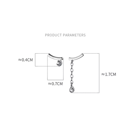Anyco Fashion Earrings 925 Sterling Silver Personality Unique Tassel Pendant Zircon Stud for Women Chic Trendy Party Jewelry Gift-Earrings-PEROZ Accessories