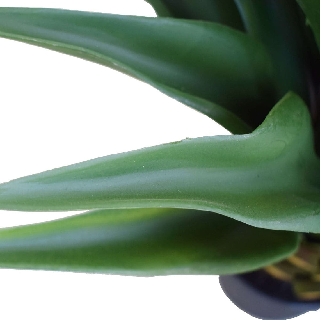 Agave 60cm Plant-Home &amp; Garden &gt; Artificial Plants-PEROZ Accessories