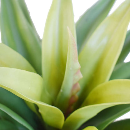 Agave 60cm Plant-Home &amp; Garden &gt; Artificial Plants-PEROZ Accessories