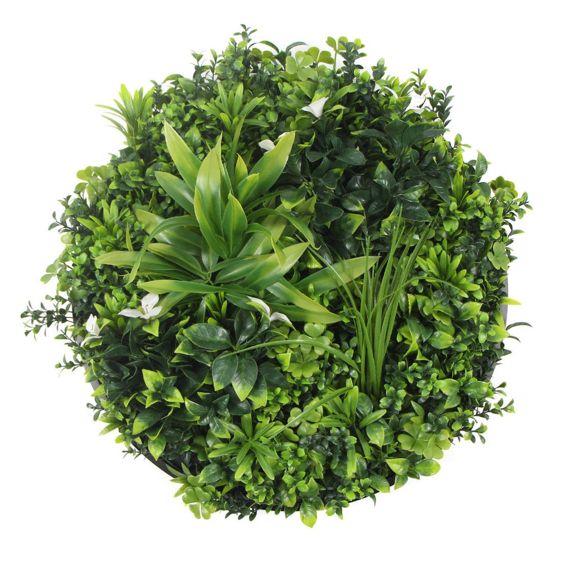 Flowering White Artificial Green Wall Disc UV Resistant 50cm (Black Frame)-Home &amp; Garden &gt; Artificial Plants-PEROZ Accessories