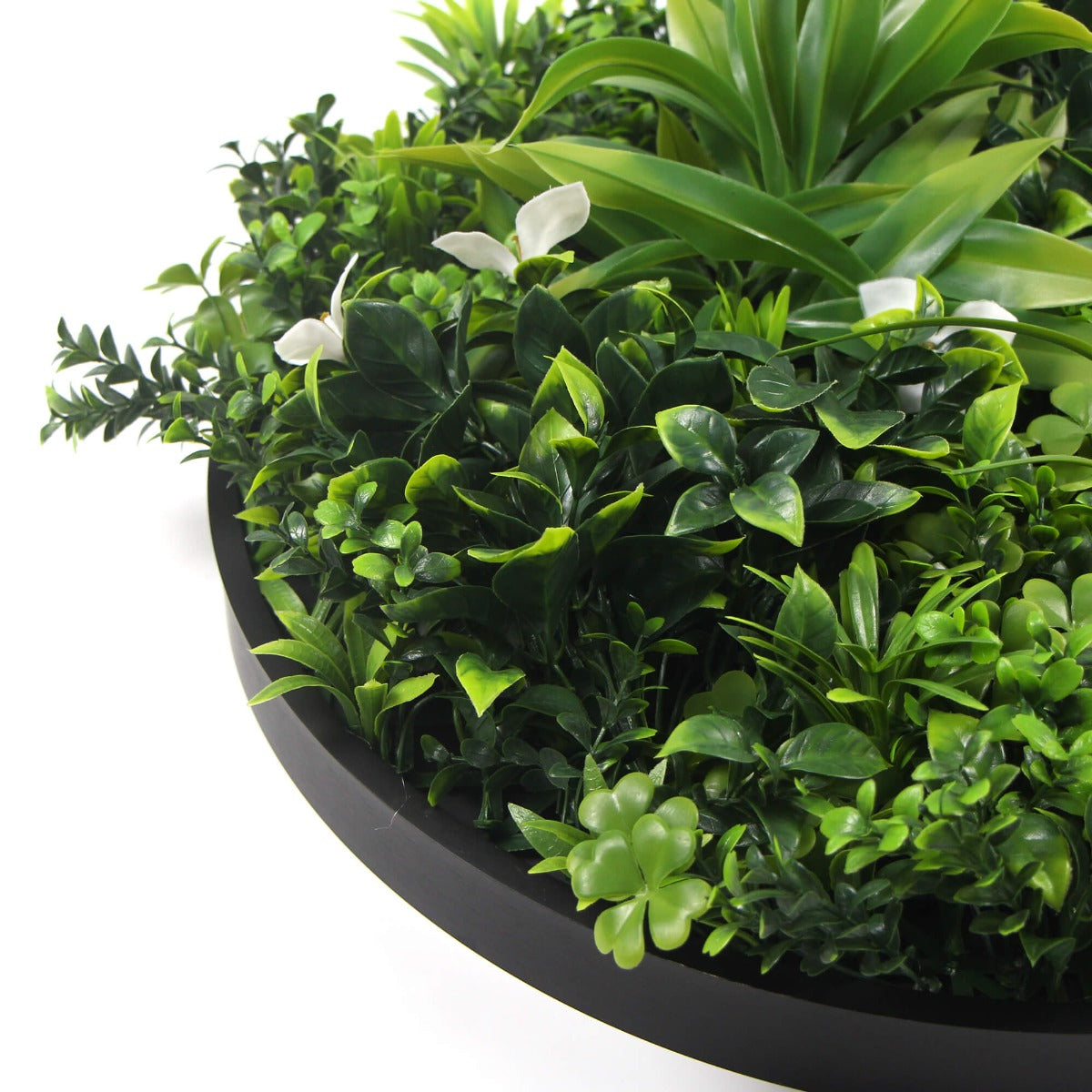 Flowering White Artificial Green Wall Disc UV Resistant 50cm (Black Frame)-Home &amp; Garden &gt; Artificial Plants-PEROZ Accessories
