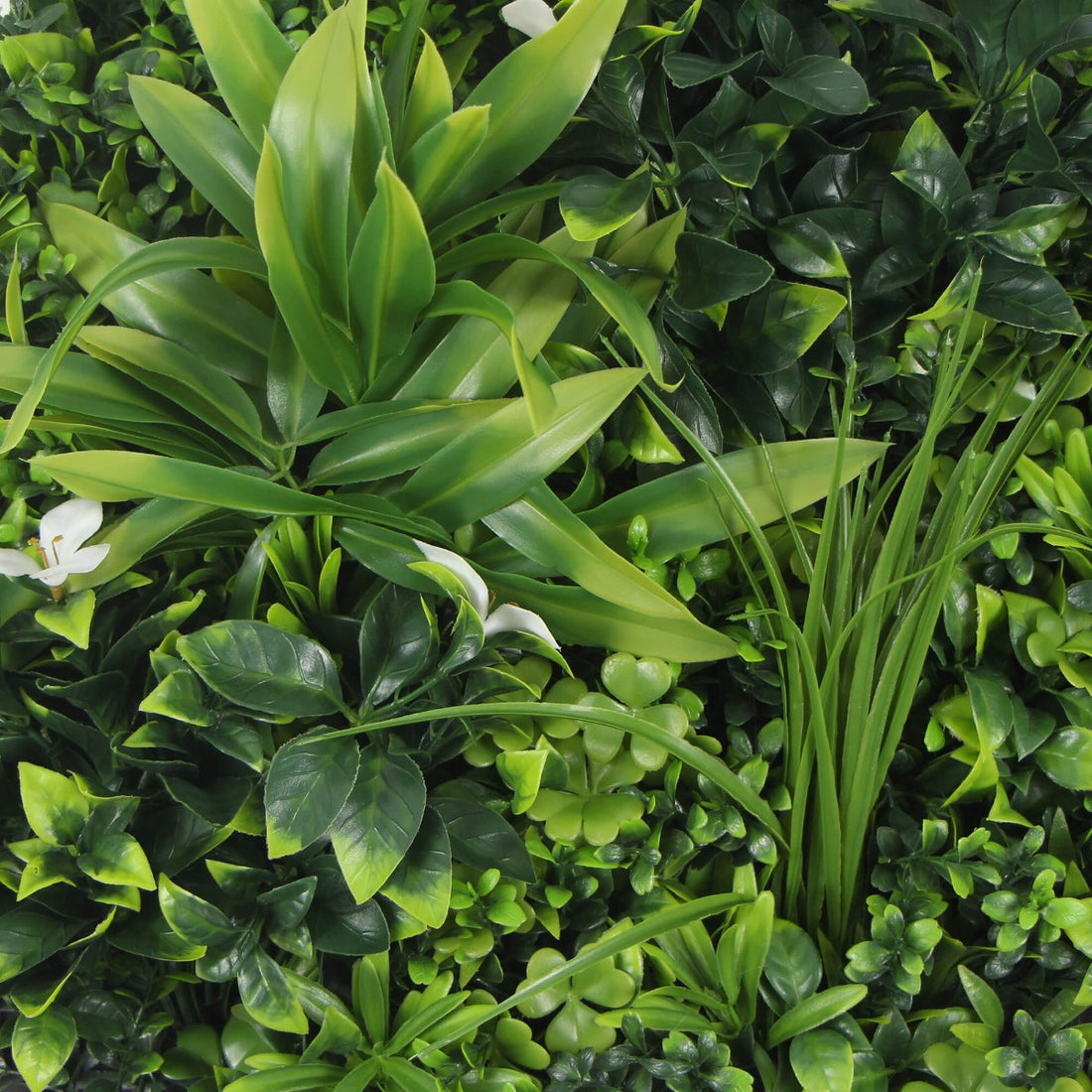 Flowering White Artificial Green Wall Disc UV Resistant 50cm (Black Frame)-Home &amp; Garden &gt; Artificial Plants-PEROZ Accessories