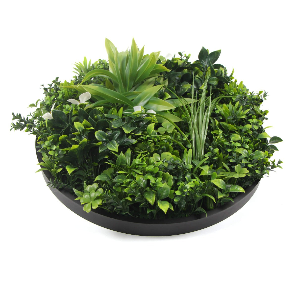 Flowering White Artificial Green Wall Disc UV Resistant 50cm (Black Frame)-Home &amp; Garden &gt; Artificial Plants-PEROZ Accessories