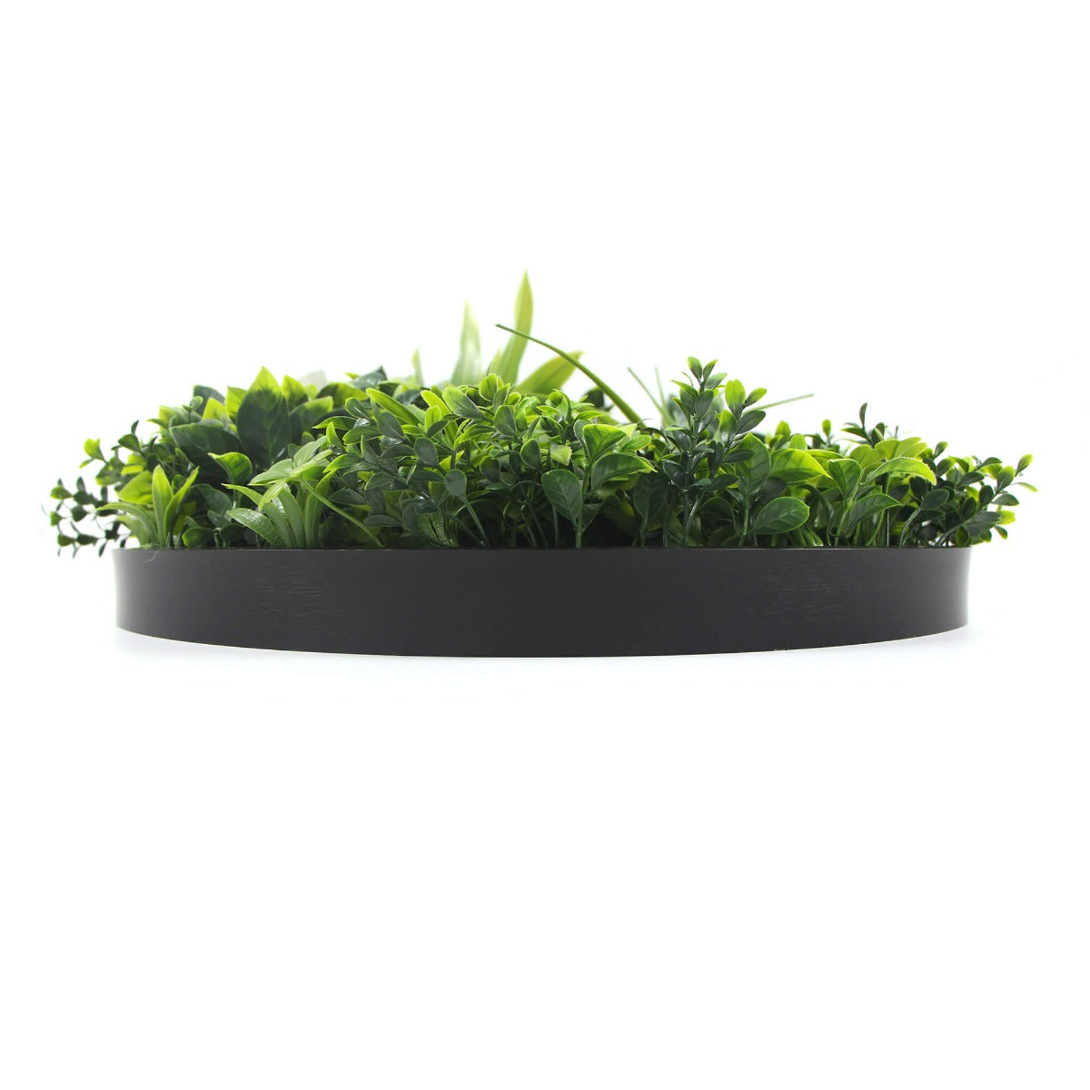 Flowering White Artificial Green Wall Disc UV Resistant 50cm (Black Frame)-Home &amp; Garden &gt; Artificial Plants-PEROZ Accessories