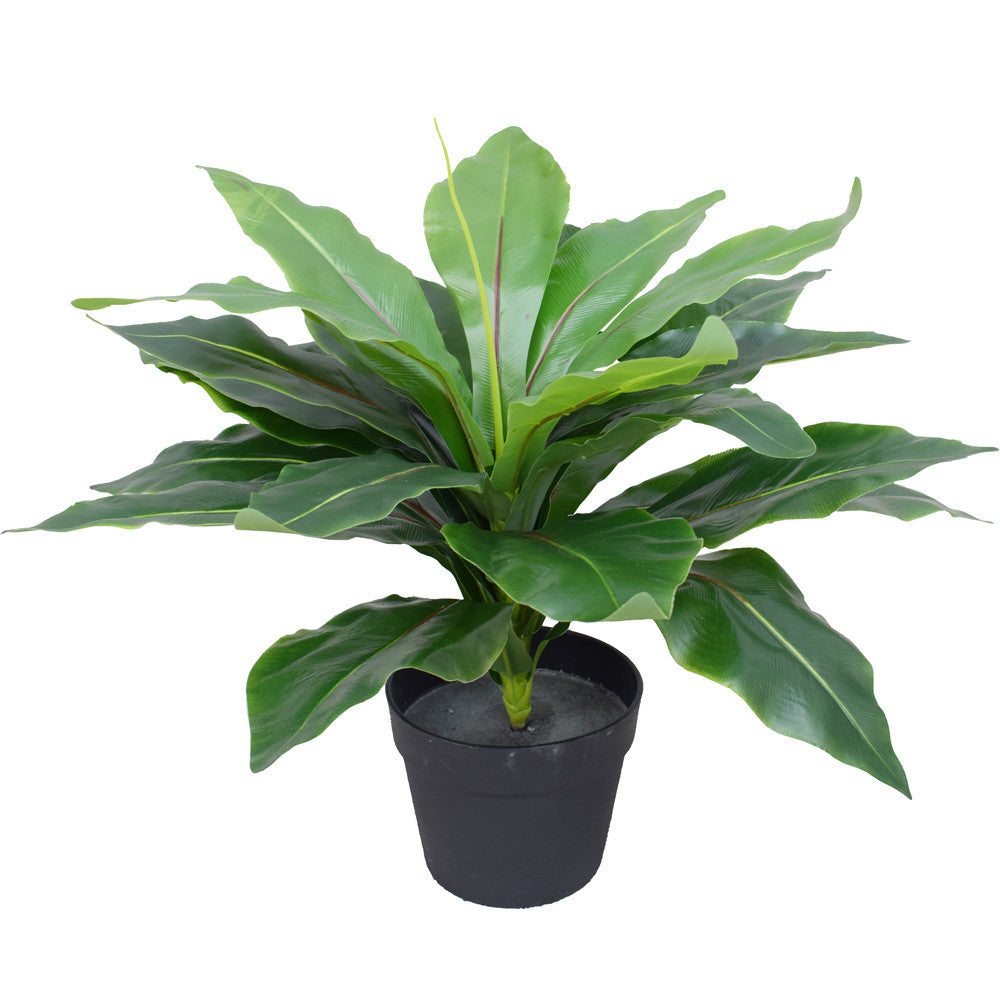 Artificial Potted Wide Leaf Birds Nest Fern 50cm-Home &amp; Garden &gt; Artificial Plants-PEROZ Accessories