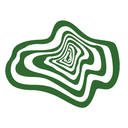 Anyhouz Carpet Green 80x120cm Creative Living Room Striped Home Decoration Bedroom Rug Fluffy Plush Mat-Carpets-PEROZ Accessories