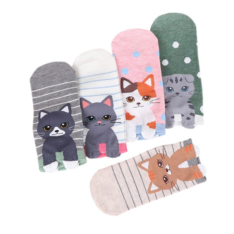Anysox 5 Pairs One Size 5-9 Rainbow Color Kitten Spring Summer Fashion Women Cotton Socks Cartoon Cute Girl Happy Funny Socks-Socks-PEROZ Accessories